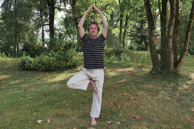 yoga vinyasa laszlho